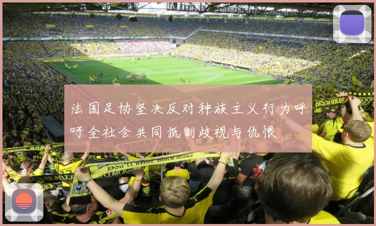 法国足协坚决反对种族主义行为呼吁全社会共同抵制歧视与仇恨